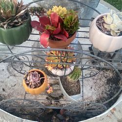 Planter