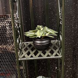 Olive Green Metal Plant Stand