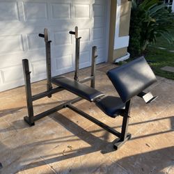 Bench Press/ Dip Bar / Curl Bar 