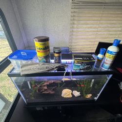 29 Gallon Fish Tank 