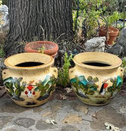 Set of 2 Cactus Large Planter Set