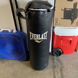 Punching Bag