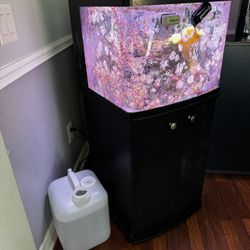 Saltwater Aquarium 29g Biocube With Supplies