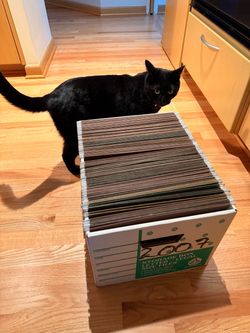 50 Hanging File Folders