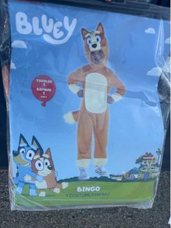 Bingo costume