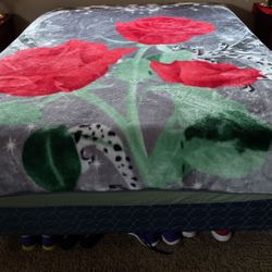 Nice Blanket Queen Size 20,00