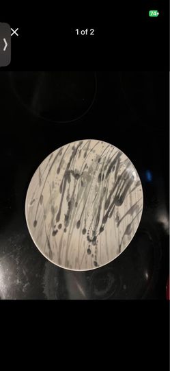 Urban outfitters dinner plate