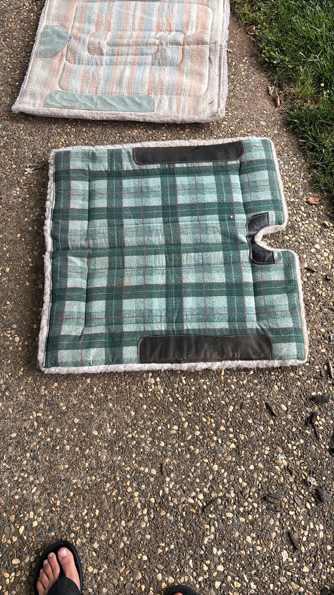 horse blanket