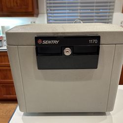 Sentry Safe