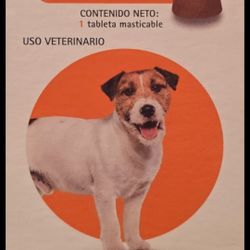 For Pets Protection 