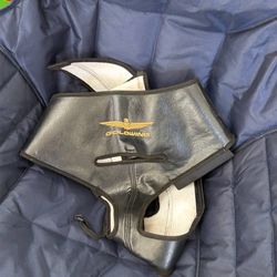 Honda goldwing bra
