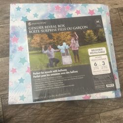 Gender Reveal Box