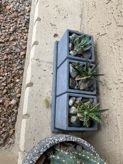 Cement Planter