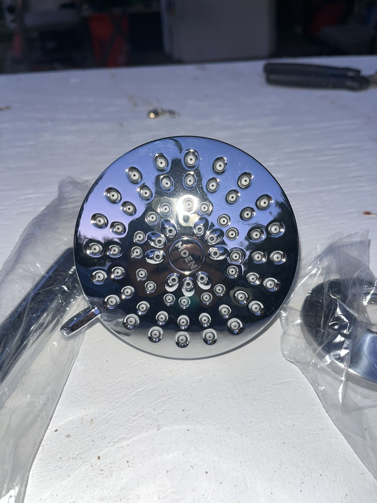Moen Shower Head