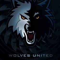 Timberwovles Tickets Game 2 2tickets For Sell 