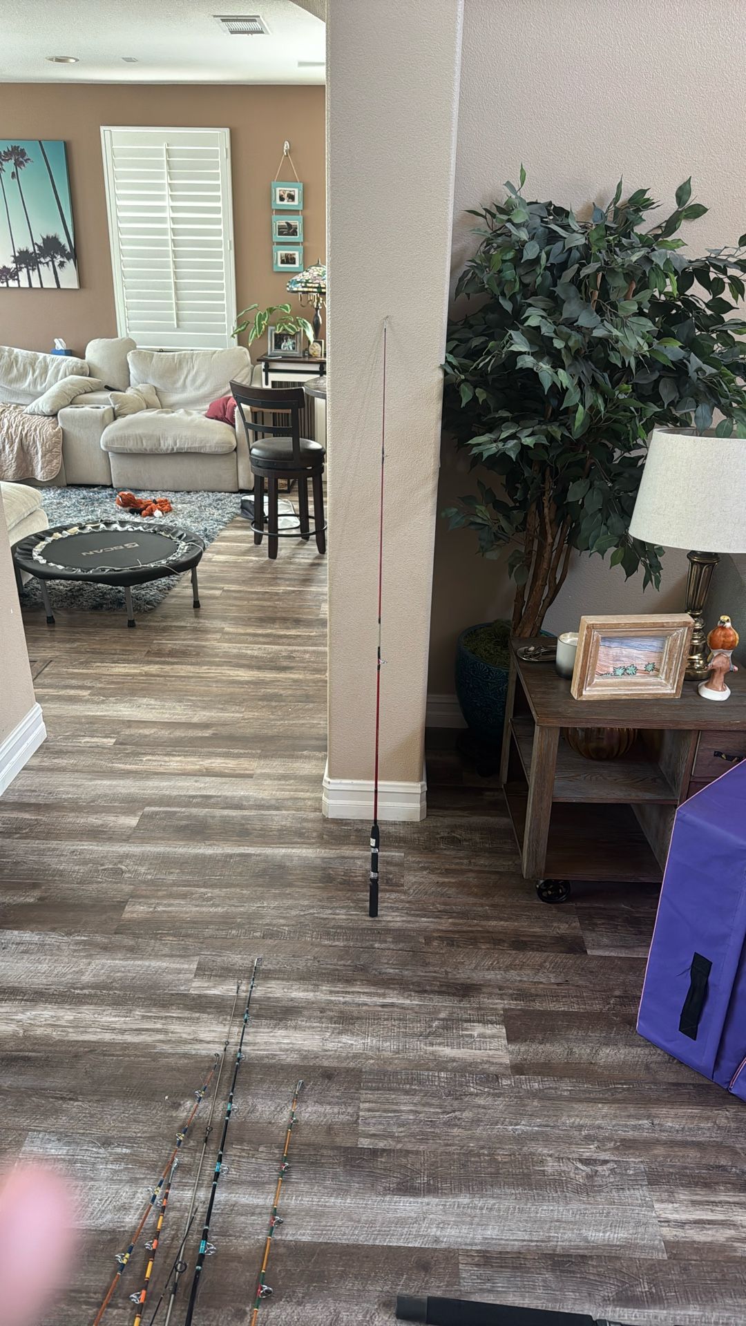Master Graph Rod