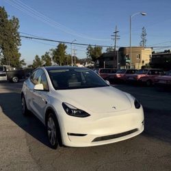 2023 Tesla Model Y For Sale 