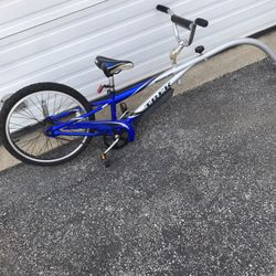 Trek Mountain Train 20”