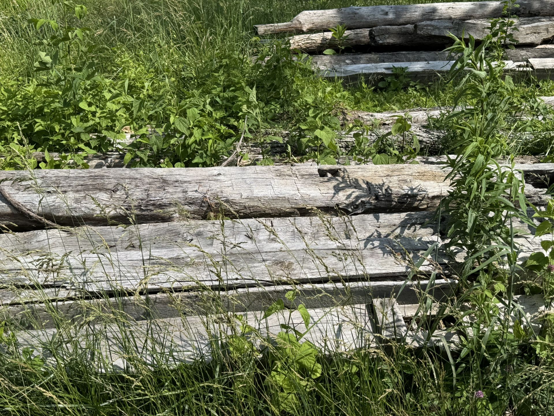 Historic Hand Planed Lumber