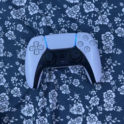 Ps5 Controller Works Perfect No Problems