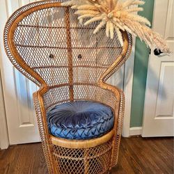 Peacock Chair 