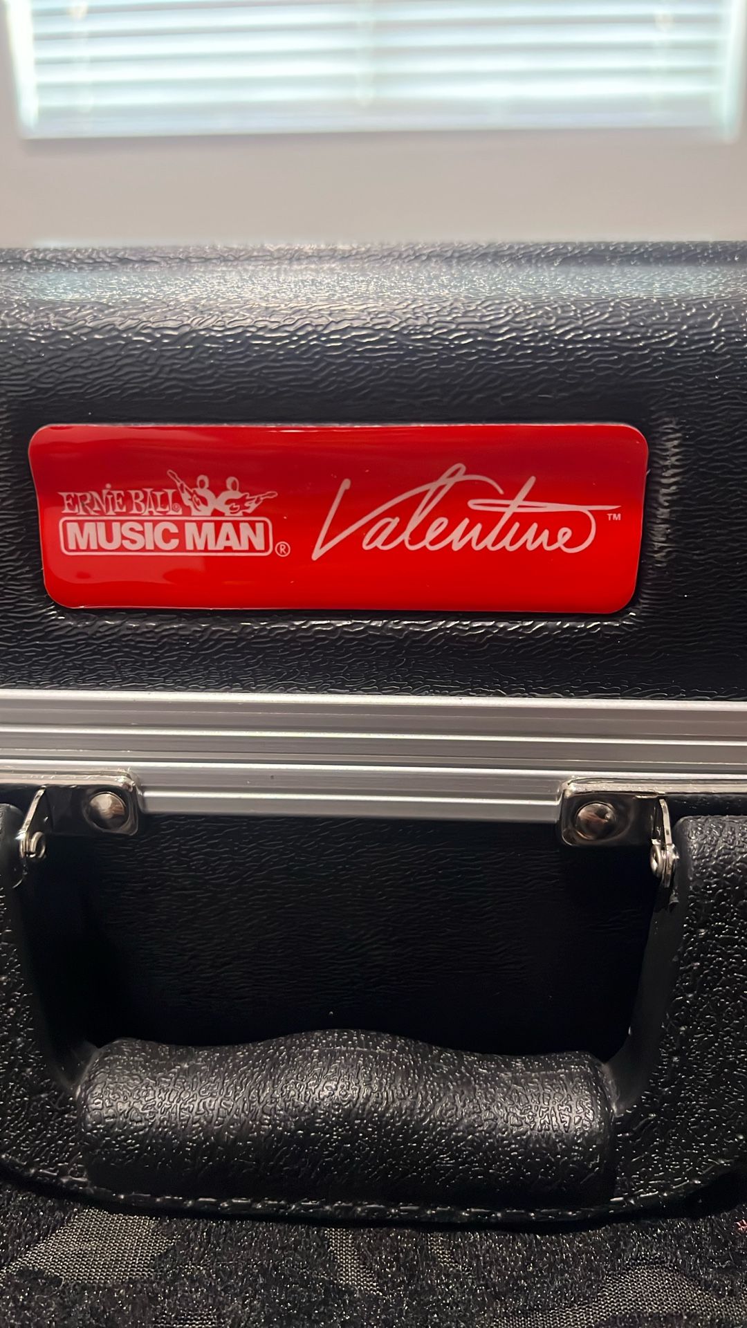 Guitar  Case Valentine 