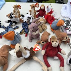 Lot of Beanie Babies