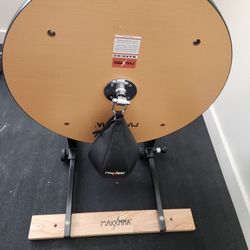 Boxing Speed Bag 