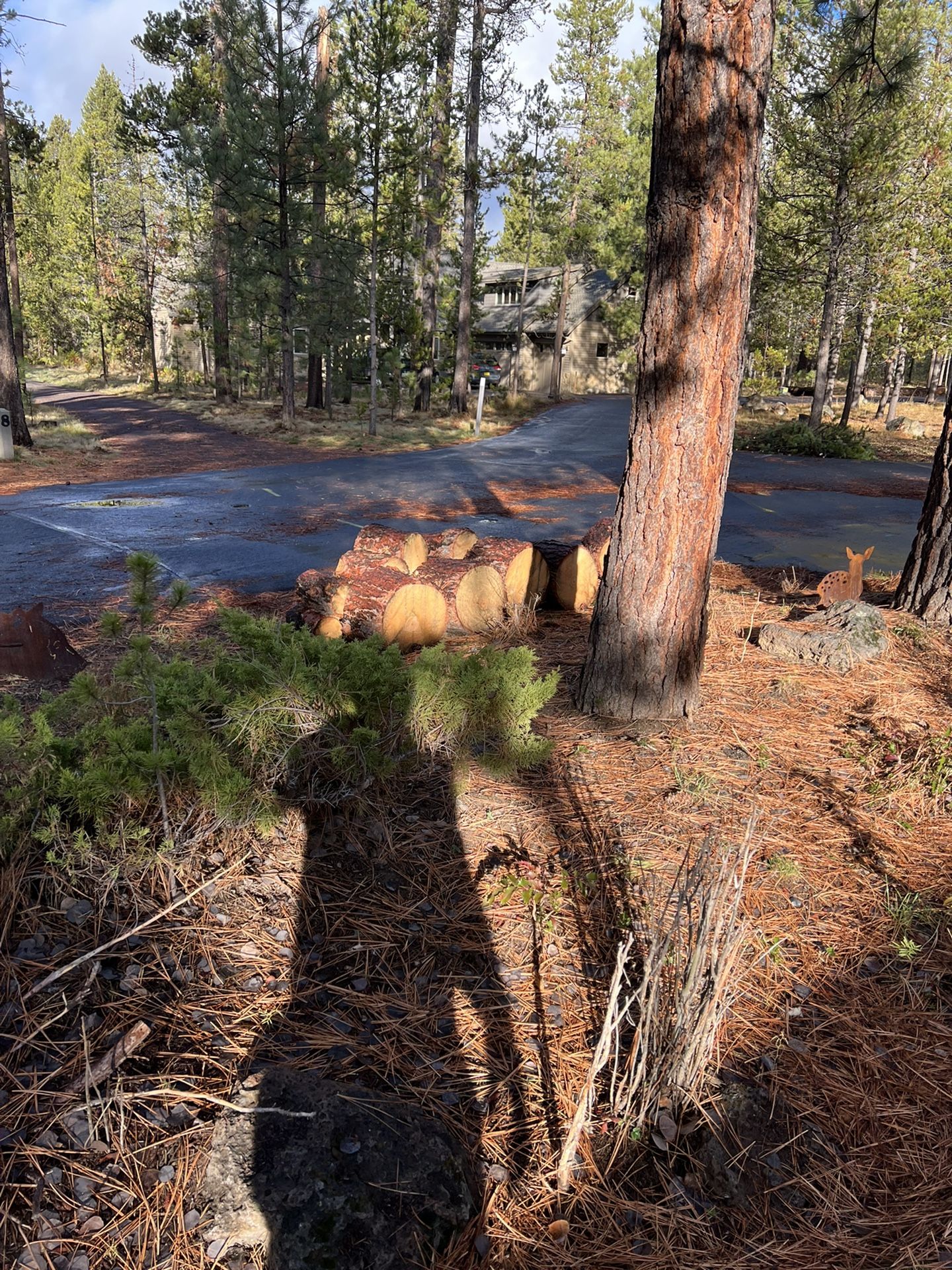 Free Wood Sunriver