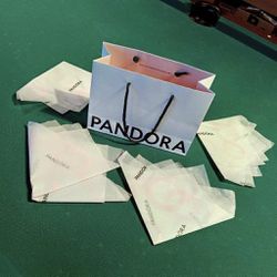 Pandora Gift Bag w/printed Tissues 