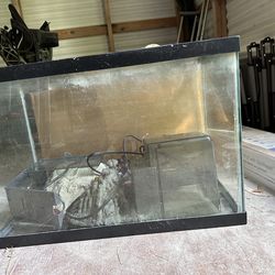 Fish Tanks