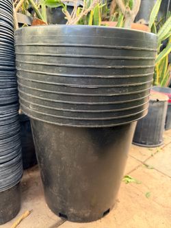Pots 15g