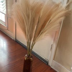 Silk pompas Branches 11 Stems 