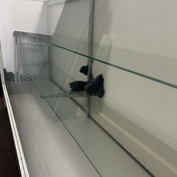 Free Glass Retail Display Case 