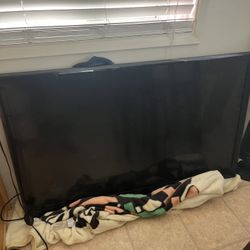 LG 55 Inch Flat Screen TV