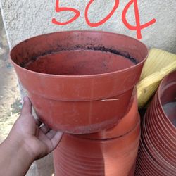 Bucket's For Plants 