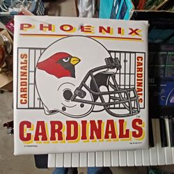 Phoenix Cardinals Seat Cushion