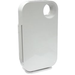 Fresh Air Purifier Cleaner HEPA Particle Carbon Filter Remove Pet Odor Dust Mold