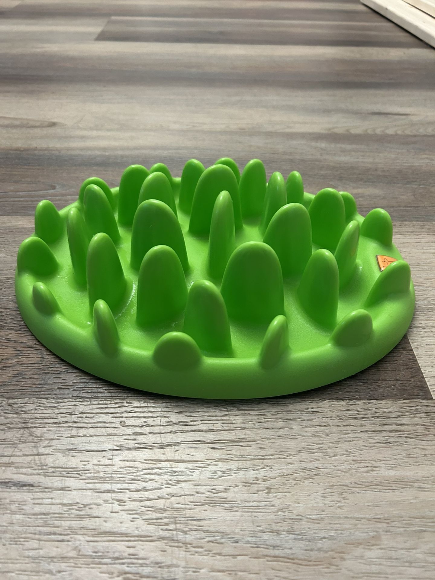 Slow Feeder for a dog