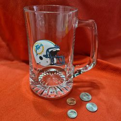 Miami Dolphins Glass Mug