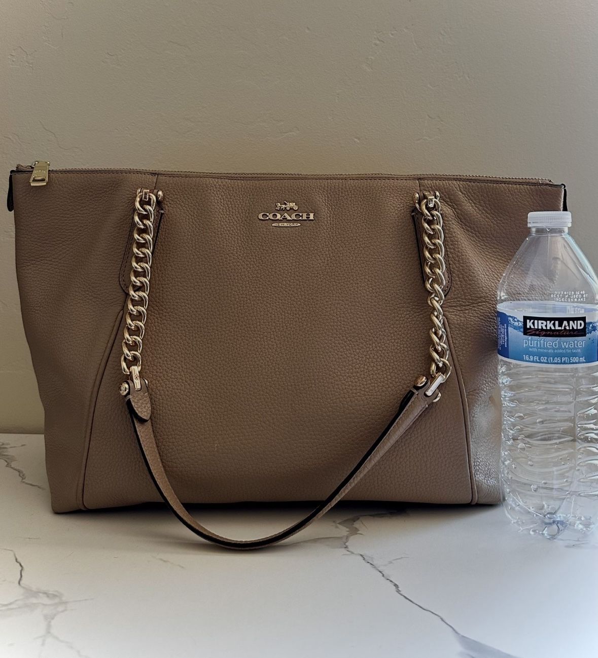 BIG COACH PURSE