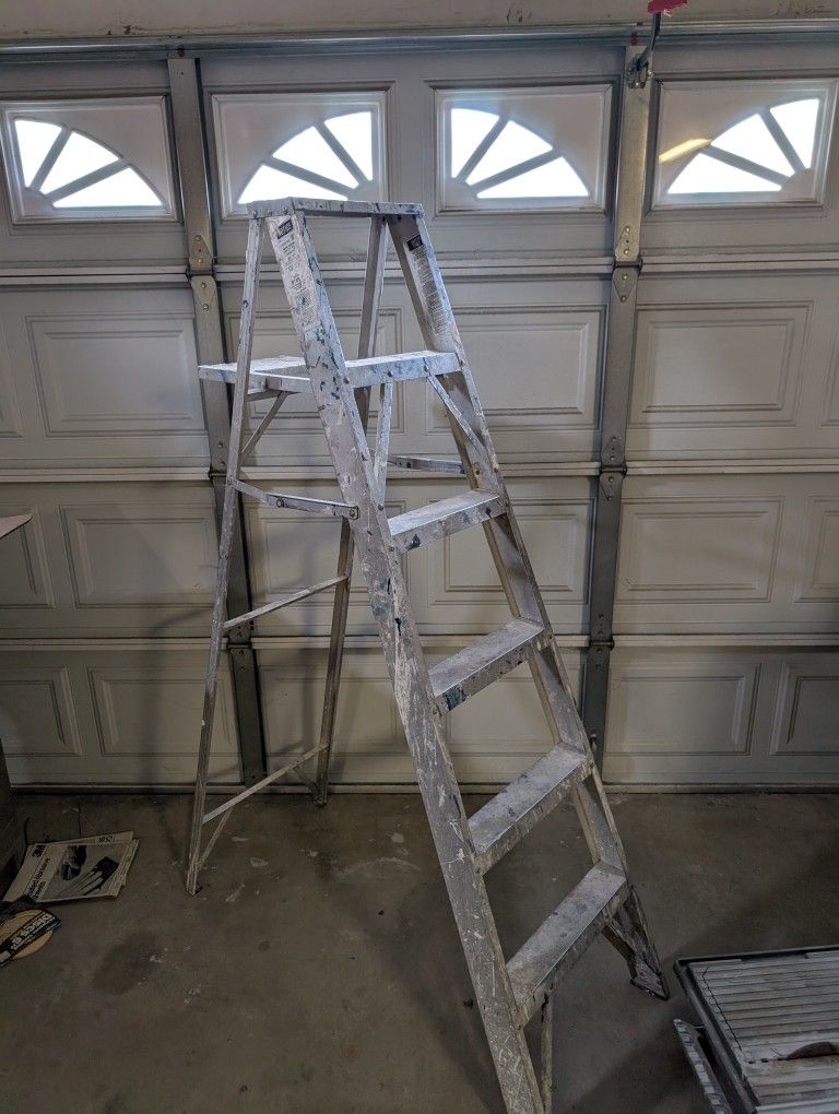 6 Foot Ladder $20