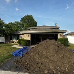 Free Soil