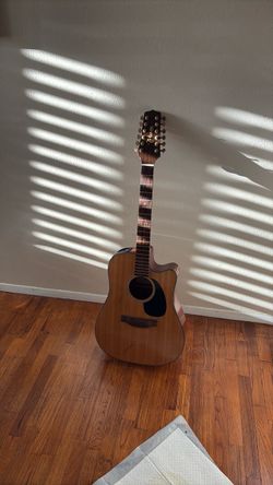 Trading  challenge  (read description) Takamine EG345C G-Series 12-String Acoustic-Electric Guitar