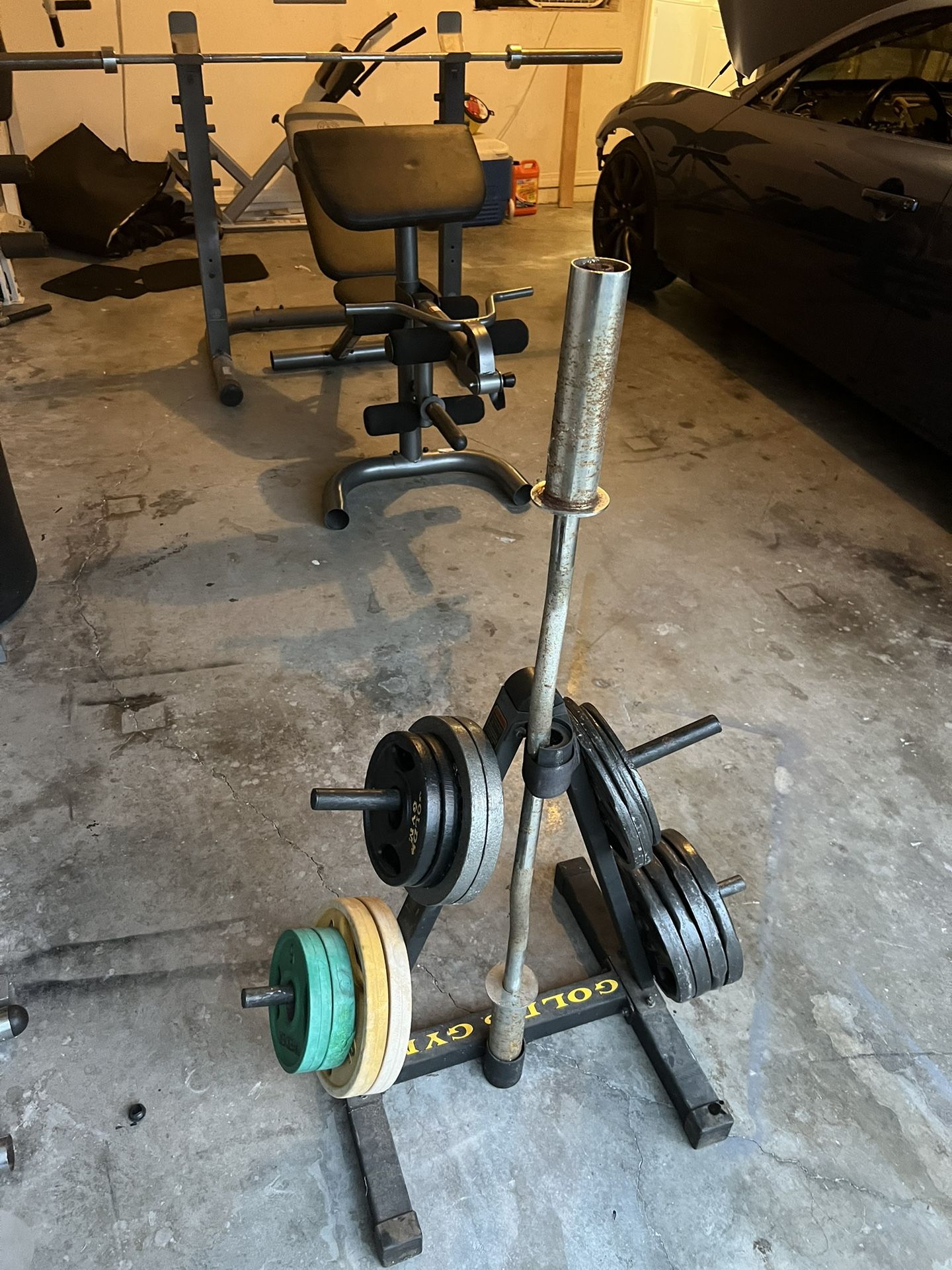 Gym Weights And Tree