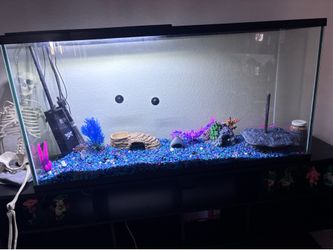 55 gallon aquarium tank