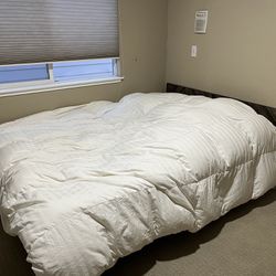 Queen Box spring With mattress 