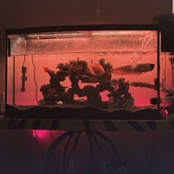 50 Gallons Fish Tank 