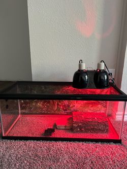 Reptile Enclosure