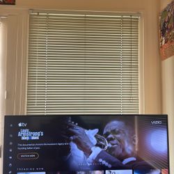 Vizio 55 Inch Smart Tv